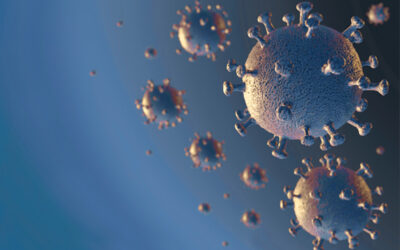14 Resources for Small Business Relief during Coronavirus