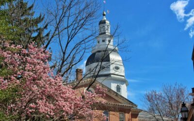 Webinar: Understanding State Procurement in Maryland