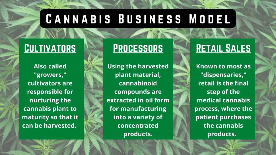 Maryland Cannabis Business Model