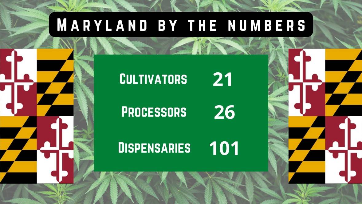 Maryland Cannabis by the Numbers
