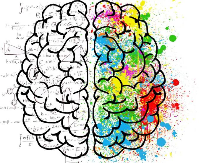 Illustration of Right brain and Left brain image on Nemphos Braue's website