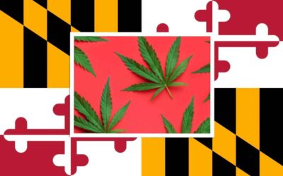 Cannabis on the Maryland Ballot
