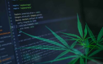 The Intersection of Cannabis, Technology and Branding