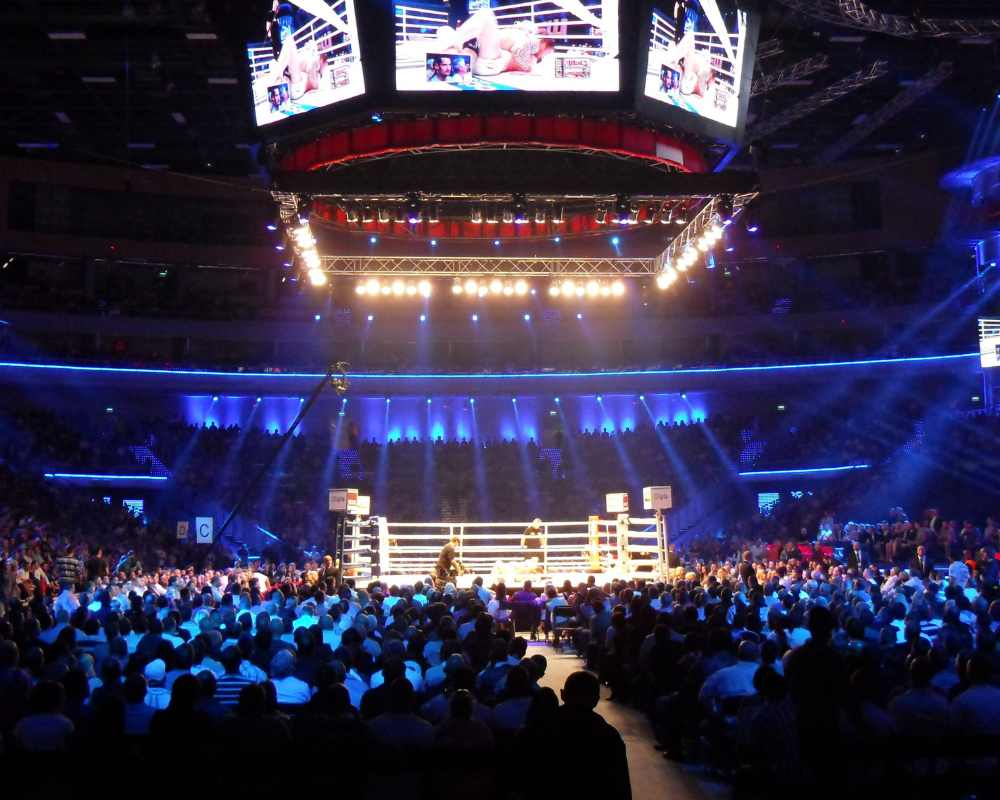Image of a wrestling match