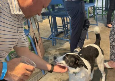 Summer Social - Bark Social Baltimore 2024